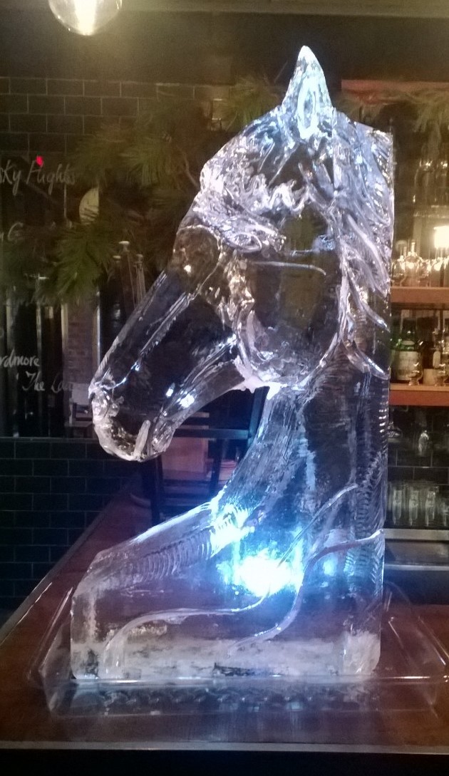 Book Ice Luge- Hire Ice shot Glasses